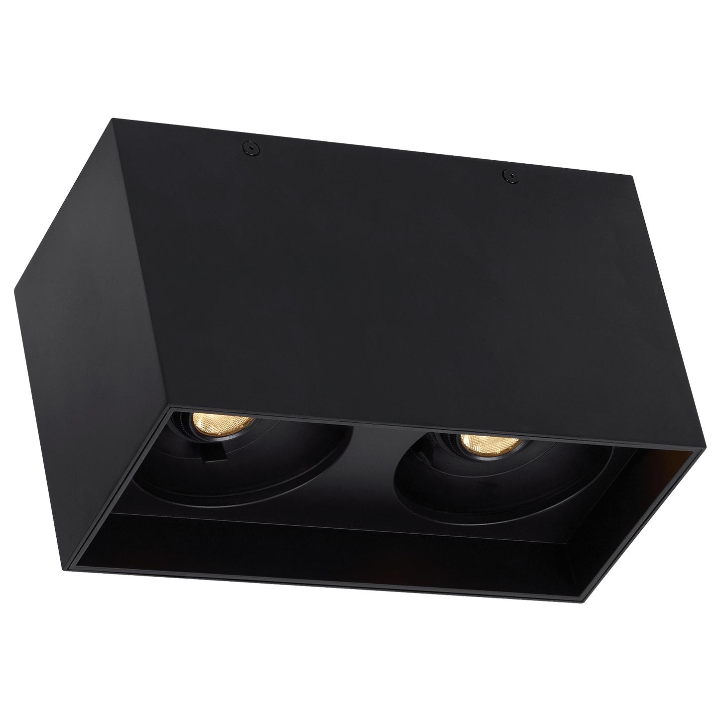 Накладной светильник Exo Dual Flush Mount Black 30° (Narrow Flood) Matte  Black 6.1